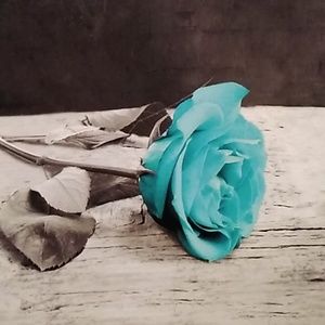 Meet your Posher, Khloe